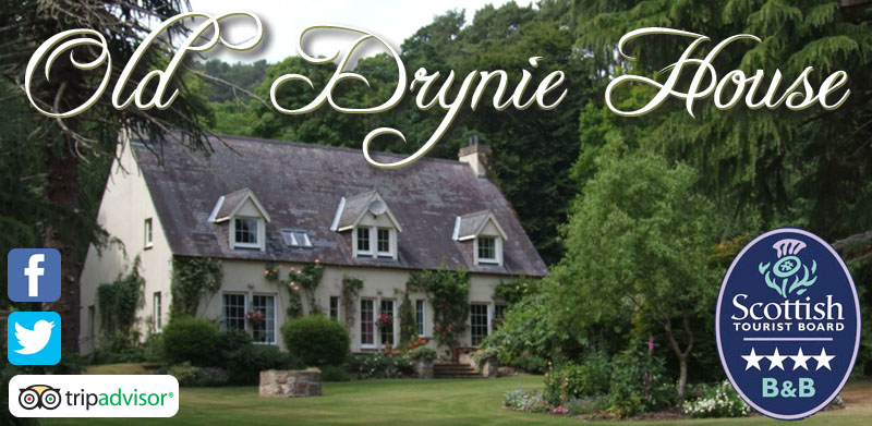 Old Drynie House